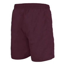 Load image into Gallery viewer, MEN'S BERRYN SWIM SHORTS - OntarioSwimHub