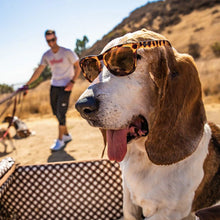 Load image into Gallery viewer, bosleys-basset-hound-dreams-tortoiseshell-goodr-running-sunglasses-og-hnd-nrbr-1-ontario-swim-hub-5