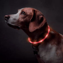 Load image into Gallery viewer, LED DOG COLLAR
