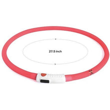 Load image into Gallery viewer, LED DOG COLLAR