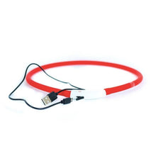 Load image into Gallery viewer, LED DOG COLLAR