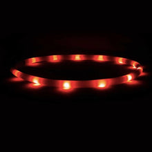Load image into Gallery viewer, LED DOG COLLAR