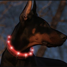 Load image into Gallery viewer, LED DOG COLLAR