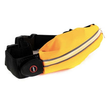 Load image into Gallery viewer, LED WAISTBELT