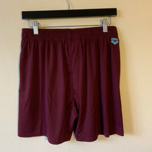 Load image into Gallery viewer, MEN'S ARENA BOXER SWIM SHORTS - OntarioSwimHub