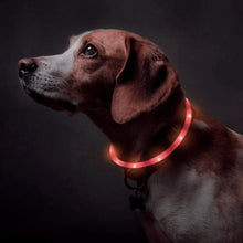 Load image into Gallery viewer, LED DOG COLLAR
